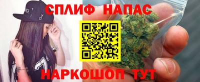 не бодяженный Моздок
